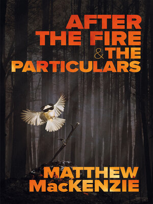 cover image of After the Fire & the Particulars
